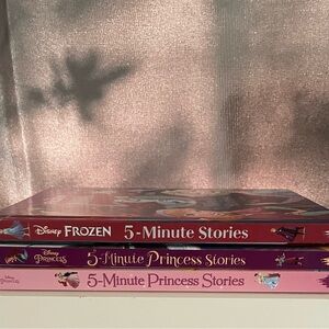 Disney Princess and Frozen Storybook Collection - Red and Pink